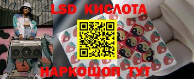 дживик Владимир