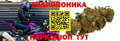 твердый Владивосток