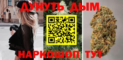 дживик Владимир